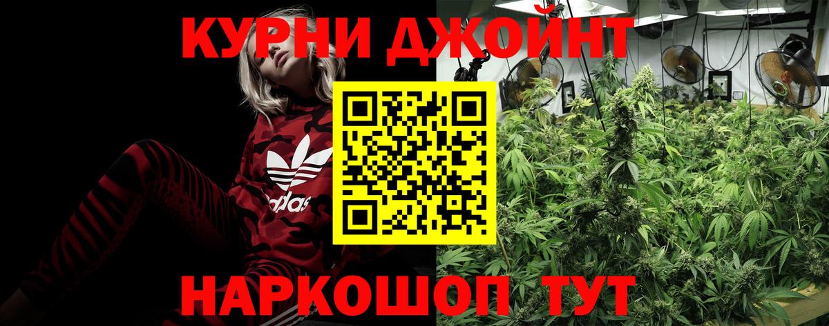 Канабис VHQ Камышин